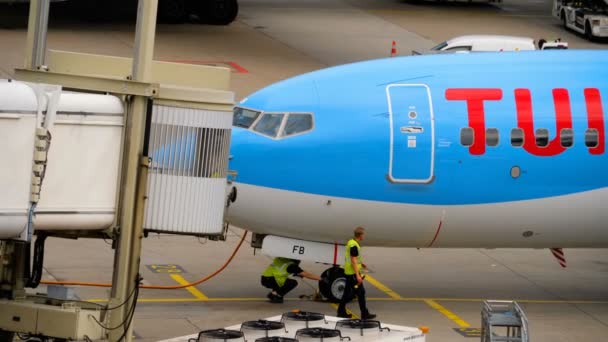Tui フライ ボーイング 737 タキシング終了します。 — ストック動画