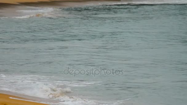 Olas en una playa de arena — Vídeo de stock