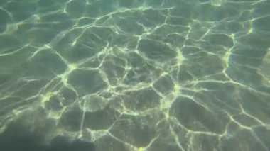 Muz dilimleri tropikal balık yiyin