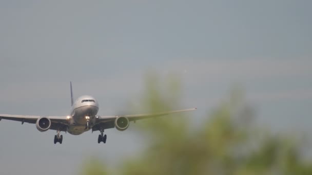 Avião se aproximando no início da manhã — Vídeo de Stock