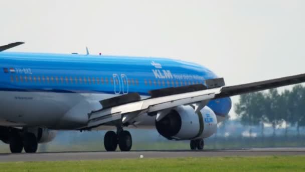 KLM Boeing 737 landing — Stockvideo