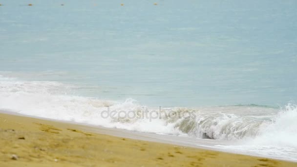 Kraftfulla wave raster längs stranden — Stockvideo