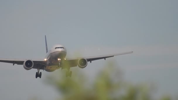 Erken sabah yaklaşan uçak — Stok video