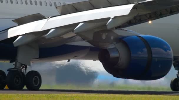 Delta Airlines Airbus 330 landning — Stockvideo