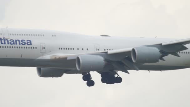 Avión aterrizando en Frankfurt — Vídeos de Stock