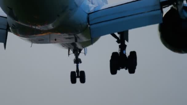 Landung einer Boeing 777 von KLM — Stockvideo