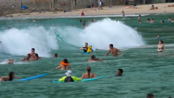 Szörfösök a hullámok — Stock videók