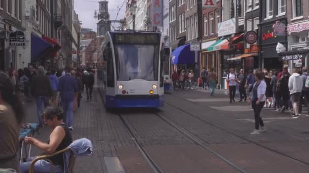 Ulica Amsterdamu sceny — Wideo stockowe