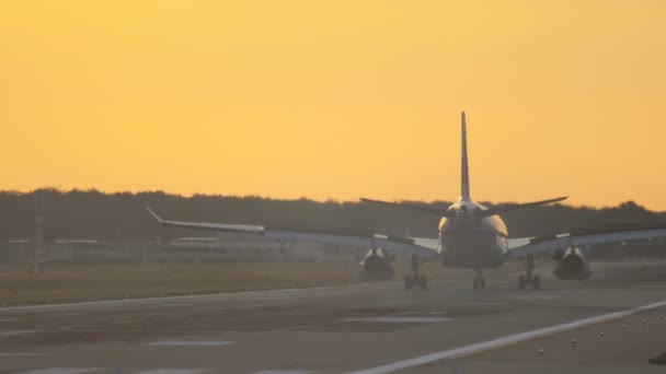 早朝の飛行機の着陸 — ストック動画