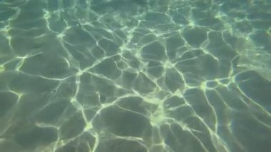 Muz dilimleri tropikal balık yiyin