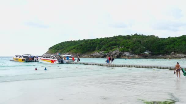 Touristes dans l'eau sur la plage de l'île de Raya — Video