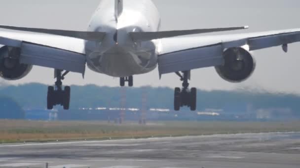 Широкофюзеляжный самолет приземляется утром — стоковое видео
