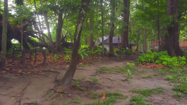 'S morgens bij Similan Island — Stockvideo