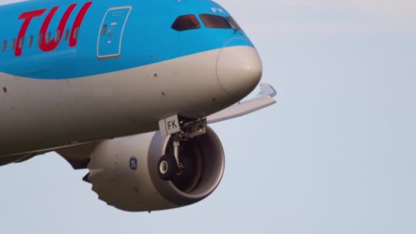 波音787梦幻飞机着陆 — 图库视频影像