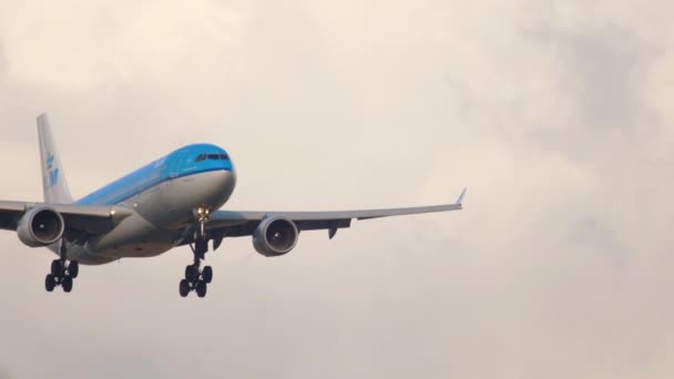 KLM Airbus A330 landing — Stockvideo