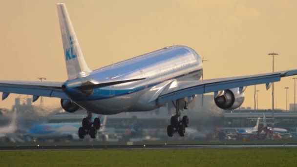 Klm オランダ航空のエアバス a330 型機着陸 — ストック動画