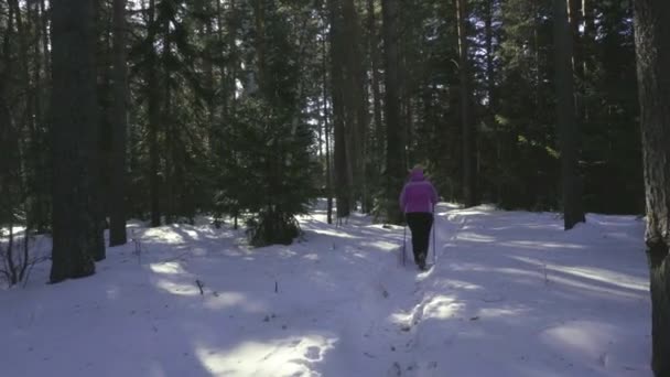 Mulher caminhando na floresta de inverno — Vídeo de Stock