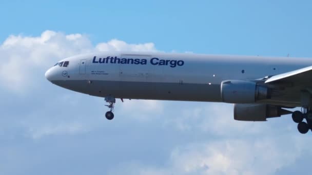 Lufthansa Carga MD-11 pouso — Vídeo de Stock