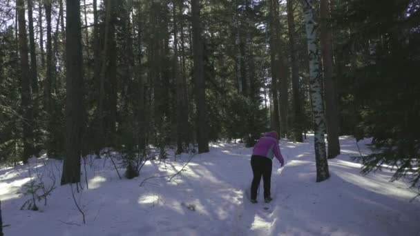 Mulher caminhando na floresta de inverno — Vídeo de Stock