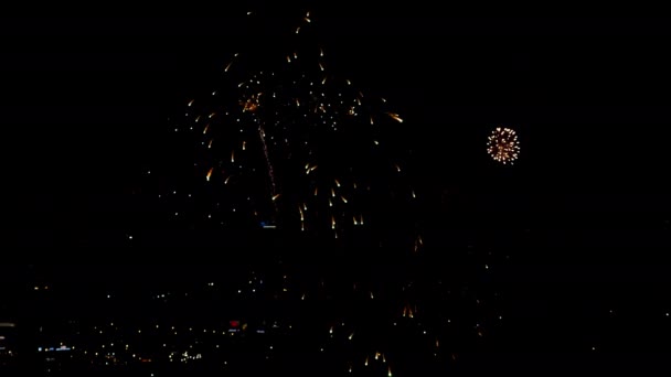 Fuochi d'artificio lampeggianti la sera — Video Stock