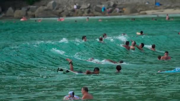 Surfistas en las olas — Vídeo de stock