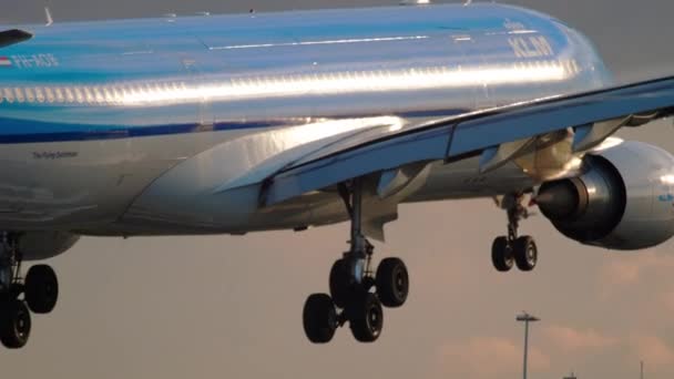 KLM Airbus A330 landning — Stockvideo