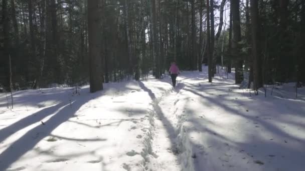 Kvinnan promenader i vinter skog — Stockvideo