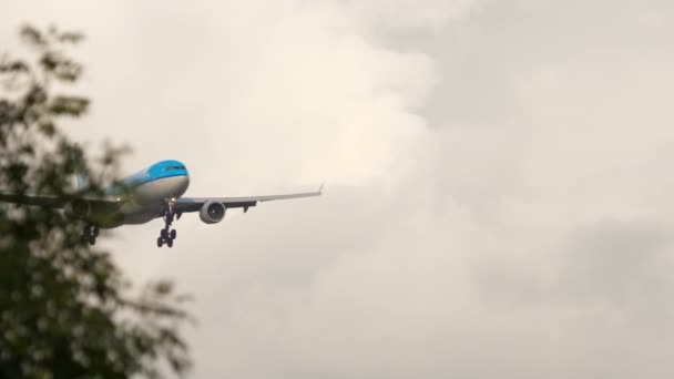 KLM Airbus A330 landing — Stockvideo