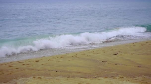 沿着海岸碎强大波 — 图库视频影像