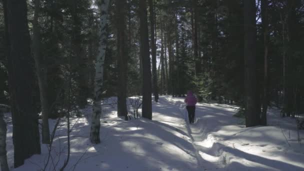 Mujer caminando en el bosque de invierno — Vídeos de Stock