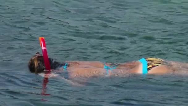 Plongée avec tuba dans l'eau turquoise claire — Video