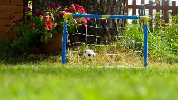Футбольний іграшковий м'яч на газоні — стокове відео