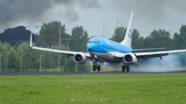 KLM Boeing 737 landing — Stockvideo