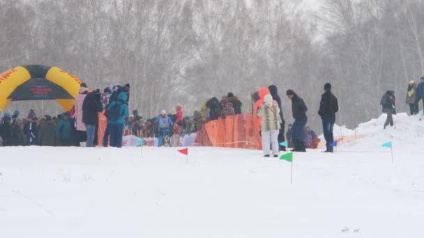 Husky pies i człowiek sportowca podczas konkursów Skijöring — Wideo stockowe