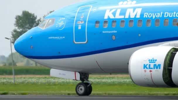 KLM Boeing 737 hamowania po wylądowaniu — Wideo stockowe