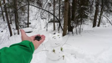 Kuşlar el tohumu yiyin