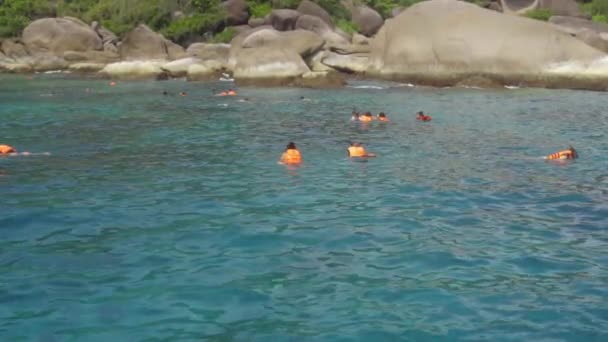 Snorkeling cerca de Similans — Vídeos de Stock