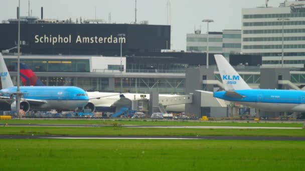 Avión KLM Boeing 777 remolque — Vídeo de stock