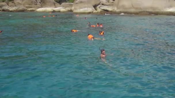 Snorkeling near Similans — Stock Video