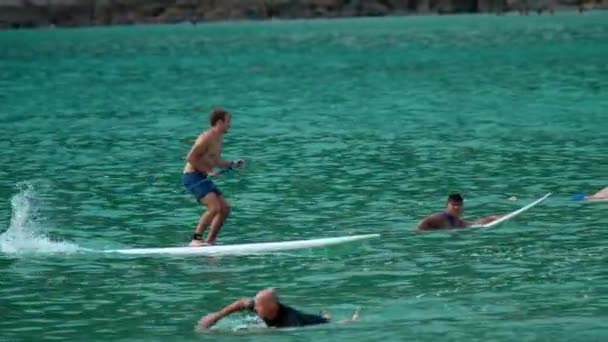 Surfistas nas ondas — Vídeo de Stock