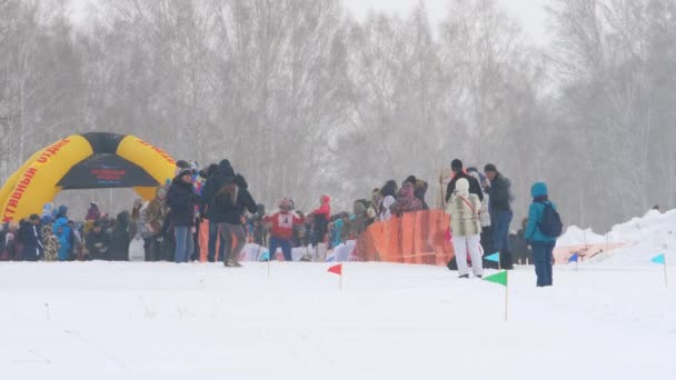 Skijoring 대회 동안 허스키 개와 남자 선수 — 비디오