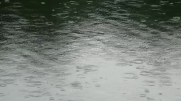 Dešťové kapky na vodní hladinu — Stock video
