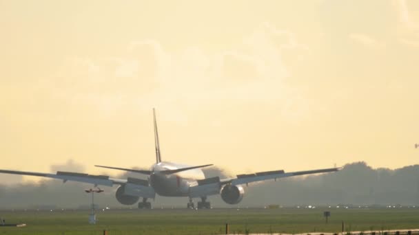 Emiraten Skycargo 777 landing — Stockvideo