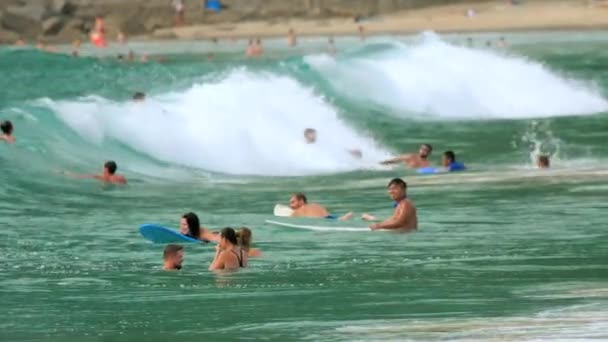 Surfisti sulle onde — Video Stock