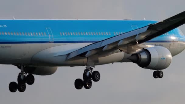 Aterragem no KLM Airbus A330 — Vídeo de Stock