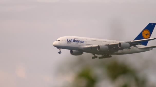 Lufthansa Airbus 380 acercándose — Vídeo de stock