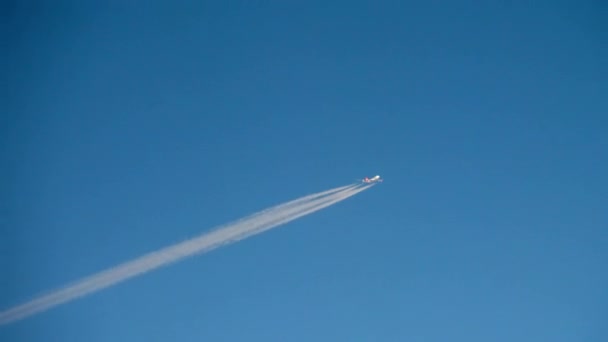 高空を飛ぶ航空会社 — ストック動画