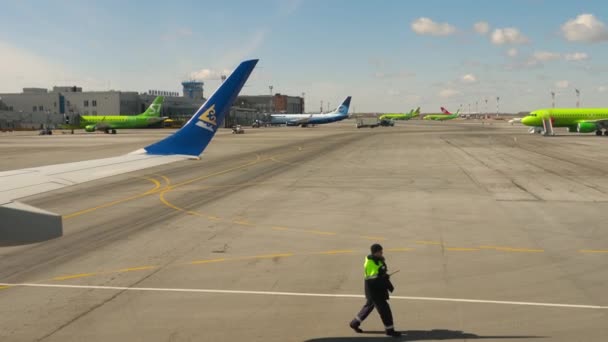 Tolmachevo apron bandara — Stok Video