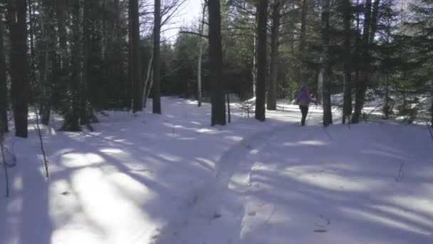 Kvinnan promenader i vinter skog — Stockvideo