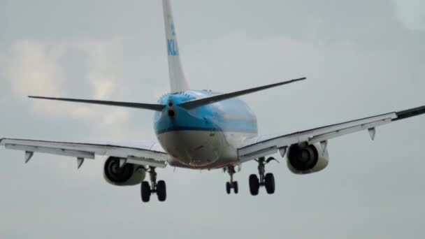 KLM Boeing 737 aterrizaje — Vídeos de Stock